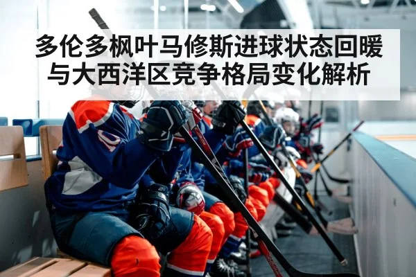 ice hockey team bench